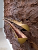 Rétrospective Giuseppe Penone : Écrin, détail. 2007, © Ellen Page Wilson