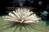 Nos meilleurs souvenirs. Expérience Pommery #8. : Michel François, Cactus, 1998, Courtesy de l’artiste, Galerie Gebauer, Galerie Jennifer Flay, photographie : Printemps de Septembre, 2000