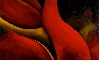 Clotilde Fava – Hermaphrodite : Clotilde Fava, Acrylique sur toile. 100x162