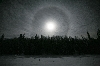 Figure Libre - Œuvres de 11 artistes représentés par la galerie Fiks : Sébastien Duijndam, Etats Unis, Los Alamos. 2008
