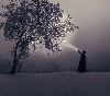 Le Beau est toujours bizarre. C.B. : Joan Foncuberta