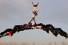 Li Wei - Photographies en plein air : (c) Li Wei / Meet on a bridge of magpies, Beijing, 2011 - Rencontre sur un pont de pipelettes, Pékin, 2011