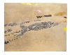 Triptyque, Manifestation d'Art Contemporain : 