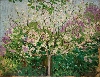 Maurice Denis – L’Éternel Printemps : Maurice Denis, Pommier