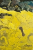 Carte blanche à Pierre Wat : Sans titre Guy de Malherbe huile sur toile 195x130cm 2011 copyright Alberto Ricci