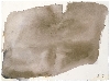 Tal Coat : Sans titre, 1980, aquarelle sur papier, 32 x 40 cm