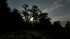 Vera Lutter : One Day, 2011, vidéo, son, 24 heures. Courtesy de l’artiste. © ADAGP Paris 2012