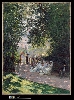 Jardins Impressionnistes : 