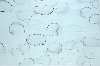 En Regard(s) : Gabriele Chiari, Aquarelle, 2010, encres sur papier, 73 x 110 cm