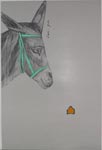 Pierre Buraglio - 