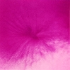 Noritoshi Hirakawa - Conscience, réalité : Spring of Mum,1998, ed de 10 ( 54 x 54 cm encadré), courtesy galerie In Situ Fabienne Leclerc, Paris