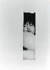 Noritoshi Hirakawa - Conscience, réalité : A Flower in the Root- Maki 1993, ed 2:3 ( 105 x 74 cm), impression collée sur aluminium, courtesy galerie In Situ Fabienne Leclerc, Paris 