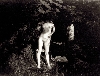 Les collections. Bonnard, une vie dédiée à l’art : Pierre Bonnard,  Marthe debout au soleil (Montval),  1900-1901, tirage moderne réalisé à partir d’originaux conservés au musée d’Orsay, 15 x 20 cm, musée Bonnard, Le Cannet © Adagp, Paris 2011 © Patrice Schmidt