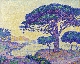 L’arbre dans la peinture de paysage entre 1850 et 1920 de Corot à Matisse