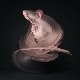 Turbulences II