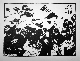 Le monde en Noir et Blanc.