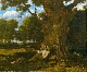 Gustave Courbet, l’amour de la nature