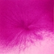 Noritoshi Hirakawa - Conscience, réalité