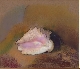 Odilon Redon - Prince du Rêve - 1840-1916