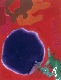 Aquarelle