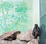  Prix HSBC 2012 pour la photographie