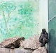  Prix HSBC 2012 pour la photographie