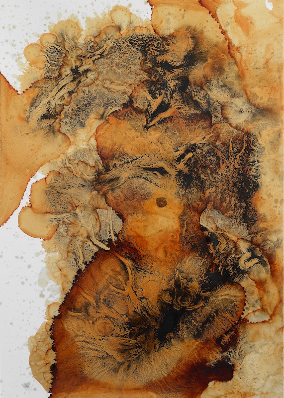 Dan Barichasse. Nuée ardente, oeuvres de 2012 à 2022 : Brisures 2. 2017. Peinture sur papier glace, 110 x  85cm