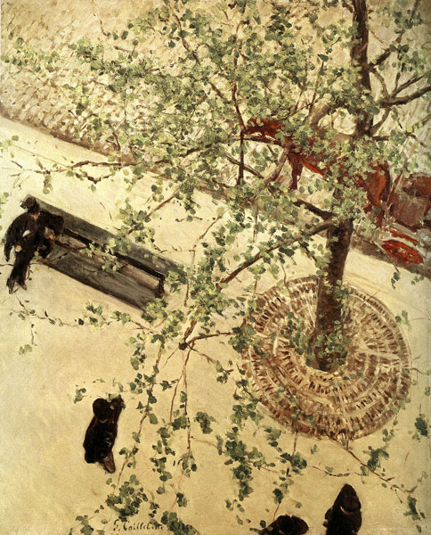 L’arbre dans la peinture de paysage entre 1850 et 1920 de Corot à Matisse : Gustave Caillebotte (1848-1894) _ Boulevard vu d’en bas, 1880, Huile sur toile, 65 x 54 cm – Collection privée