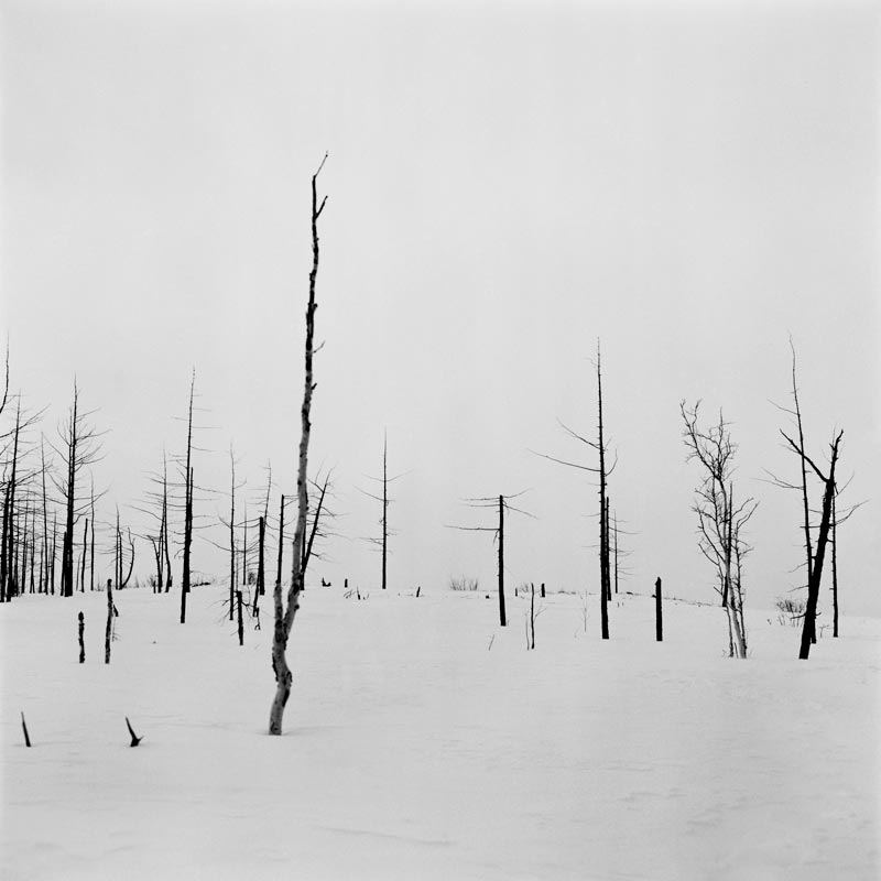 Darren Almond «... Between here and the surface of the moon» Temps 2 : Darren Almond, Night + Fog (Norilsk)(22), 2007, Bromide print mounted on Kapamount, 121,2 x 121,2 cm, Courtesy White Cube Gallery, London, © Darren Almond