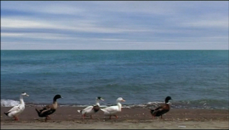 Regards Persans : Abbas Kiarostami, Five, 2009 vidéo, 74:00'', nhK production © Abbas Kiarostami