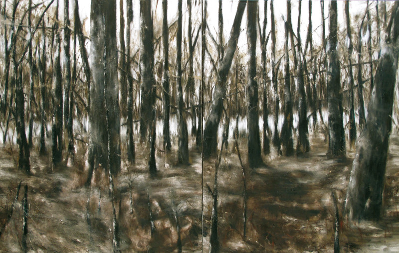 Frantz Metzger, peintures : « Forêt 1 » huile sur toile, diptyque 180 x 280, 2013, photo d'atelier