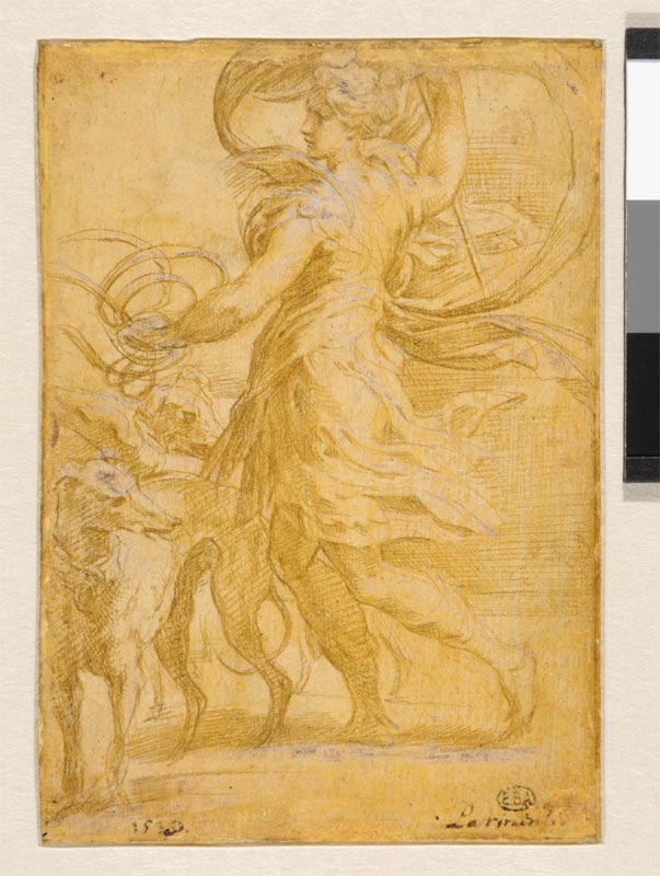 Le Parmesan, dessins et gravures en clair-obscur : Girolamo Francesco Mazzola dit le Parmesan Diane et trois lévriers Plume, encre brune et rehauts de blanc sur parchemin préparé jaune
