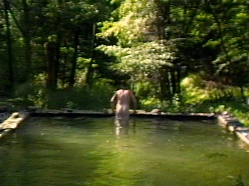 Narcisse, l'image dans l'onde : Bill Viola. The Reflecting Pool. Vidéo. Durée : 7 minutes. 1977-1979. 