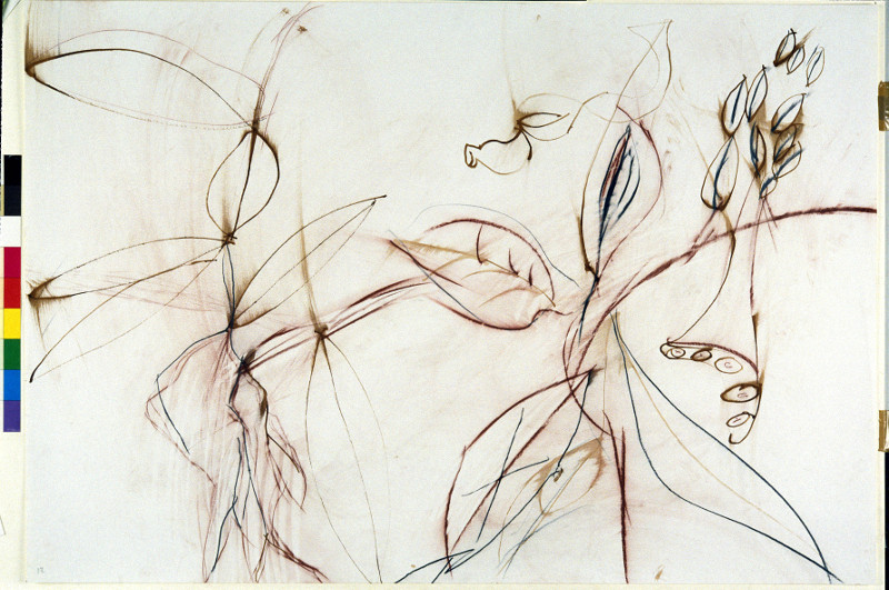 Daniel Dezeuze. Dessins : Daniel Dezeuze, La vie amoureuse des plantes, 1992, 70 x 110 cm, roseau et carré Conté. Collection MNAM-Centre Georges Pompidou, Paris