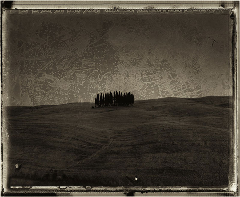 L’arbre et le photographe : Sarah Moon, Les Cyprès, 2000, Tirage argentique d'après négatif polaroïd, collection particulière