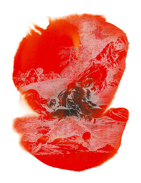 Najia Mehadji. Flower Power : Najia Mehadji : War Flower, 2007 Epreuve numérique pigmentaire, 117 x 105 cm