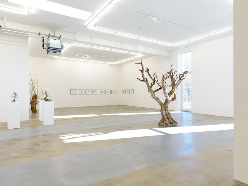 Galerie Bernard Ceysson – Espace Wandhaff
